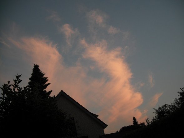 Garten 'Garten Frühjahr/Sommer 2010'