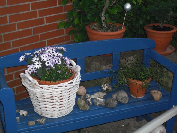 Garten 'Frühling 2011'