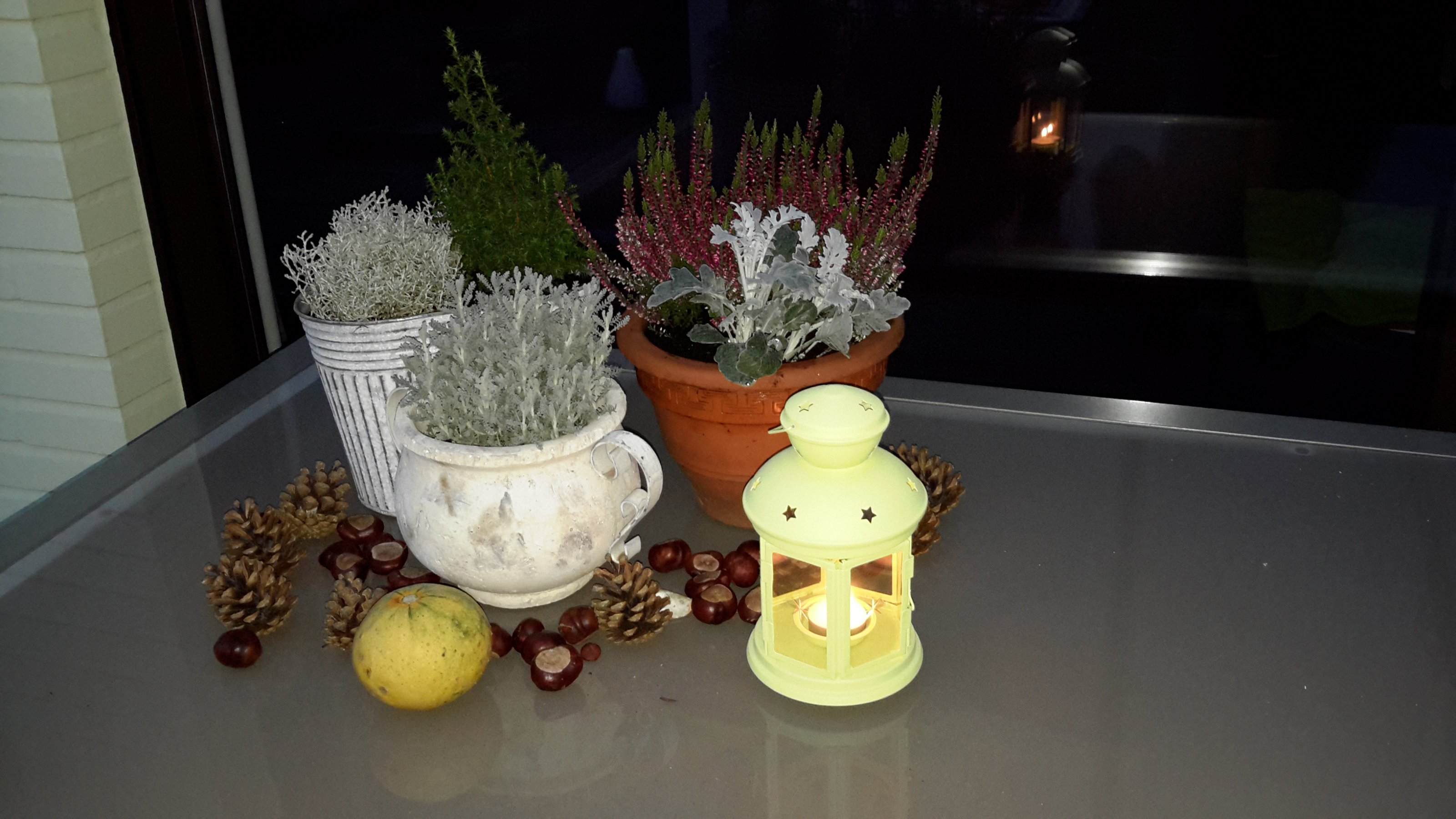 Garten 'Mein Garten' - Unser neues Haus - Zimmerschau