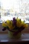Diesen tollen Tulpen-Topf gabs von meiner Schwägerin in Spe. Danke nochmals...