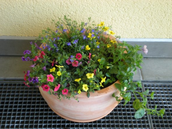 Terrasse / Balkon 'Blumenecke'