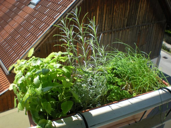 Terrasse / Balkon 'Blumenecke'