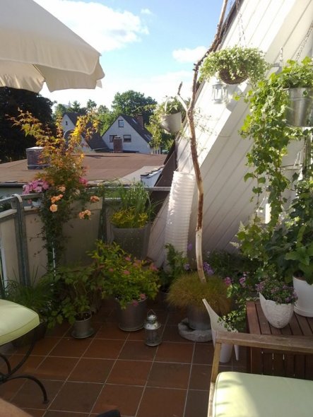 Terrasse / Balkon 'Balkonien'