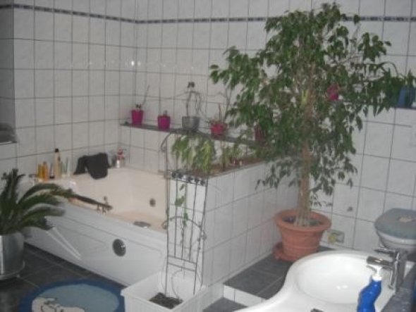 Whirlpool-Badewanne und WC