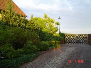 Unser Garten