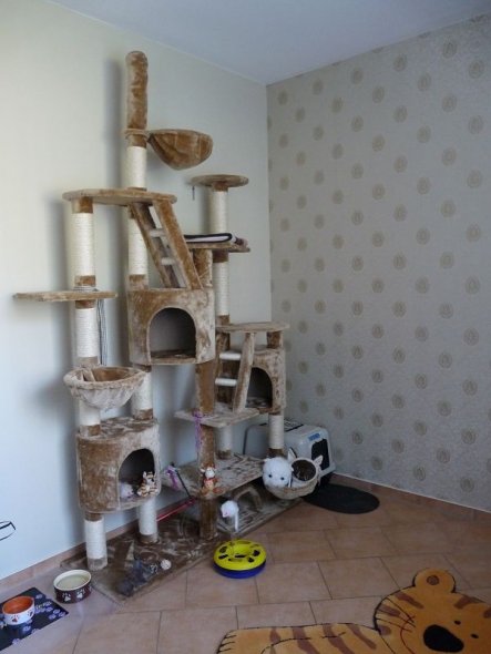 Haustiere 'Katzenzimmer'