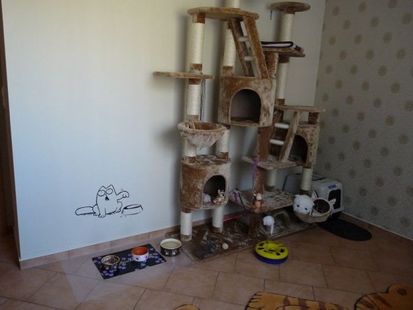 Haustiere 'Katzenzimmer'