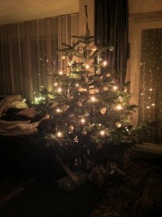 Weihnachtsdeko '2011'