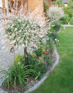 Garten 'Urlaub zuhause'