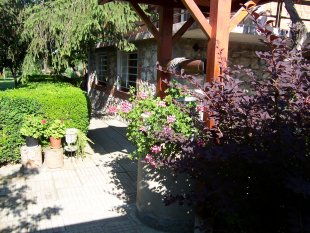 Garten 'Garten/Aussenansichten'