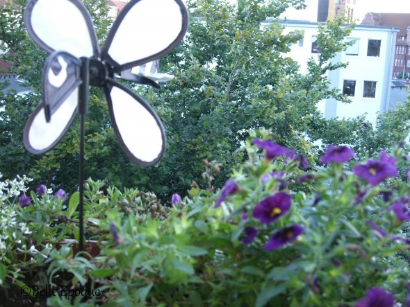 Terrasse / Balkon 'Blumenzimmer'