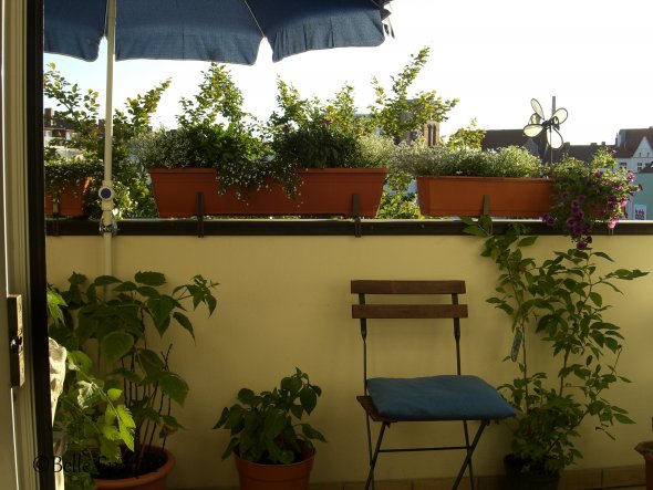 Terrasse / Balkon 'Blumenzimmer'