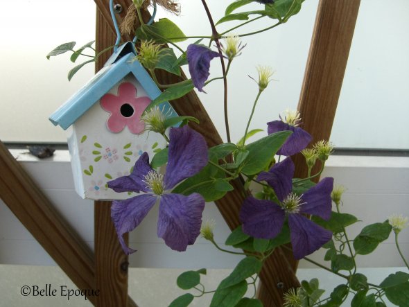 Terrasse / Balkon 'Blumenzimmer'