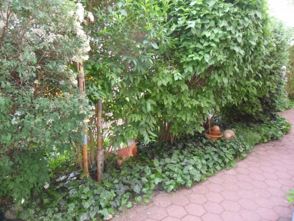 Garten 'Garten'