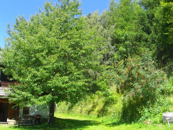 Garten 'Mein Rückzugsort'