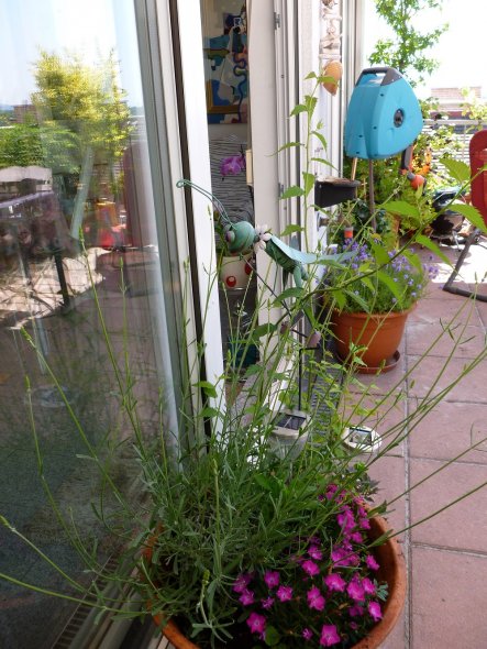 Terrasse / Balkon 'Zimmer mit Aussicht'