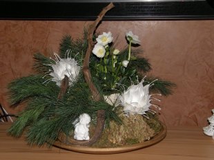 Weihnachten 2011