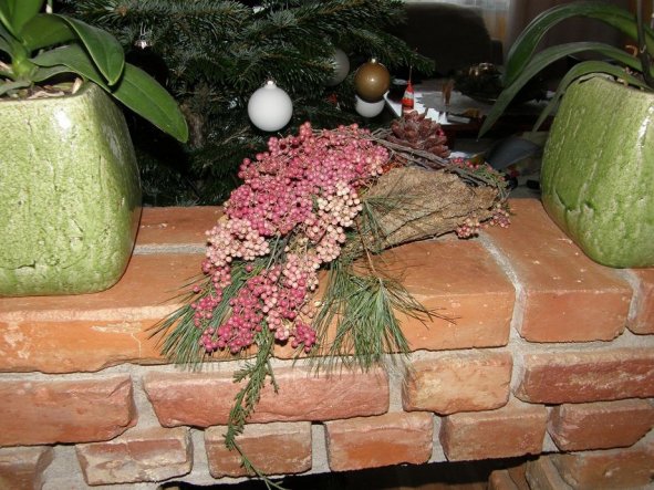 Deko 'Weihnachten 2011'