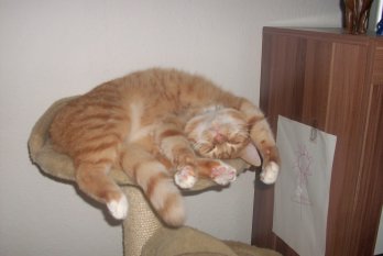 alle Räume 'Mein Raum'