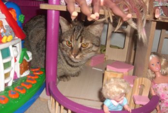 alle Räume 'Mein Raum'