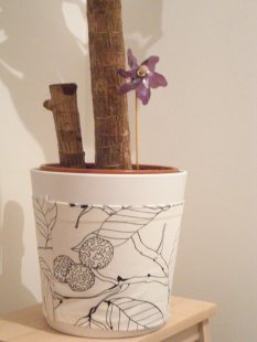 alle Räume 'Mein Raum'