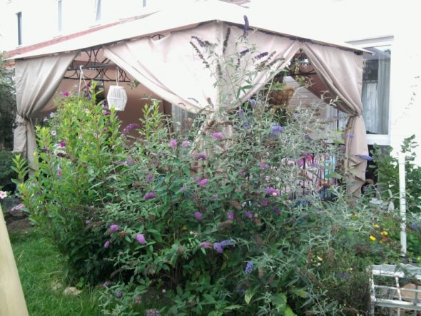Garten 'Handtuchgarten'