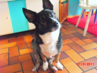 Unser Lenny