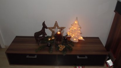 alle Räume 'Meine Weihnachtsdeko 2011'
