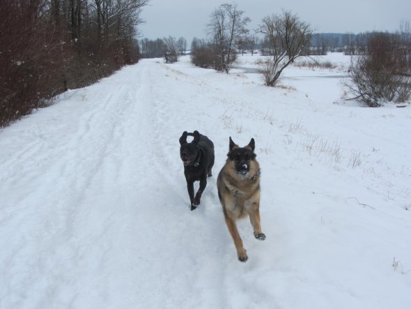 Gassi gehen am Mangfalldamm