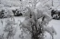 20.02.2013 - Über Nacht haben wir wieder Schnee dazu bekommen. Die bereits blühenden Schneeglöckchen und Christrosen sind nun unter einer dicken Schne