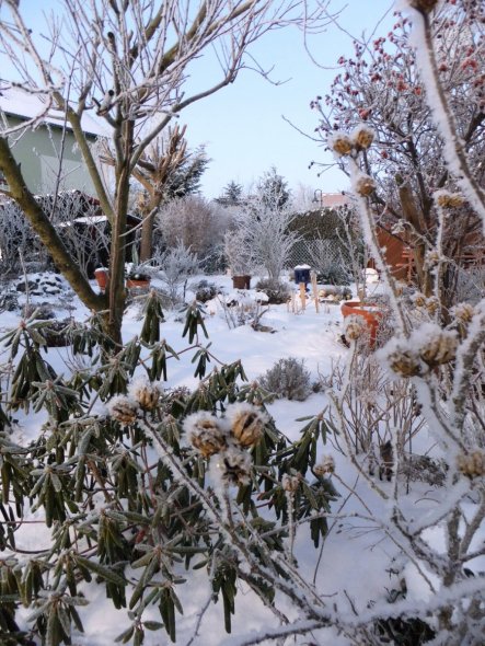 Blick über den Gartenzaun