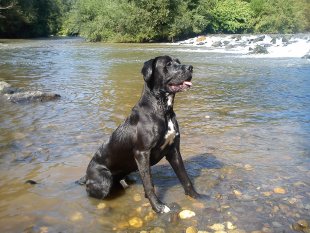 alle Räume 'Mein Raum'