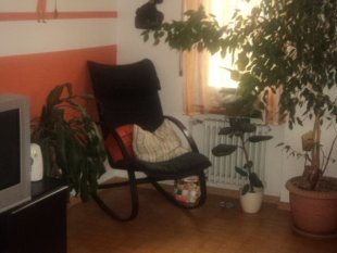 gemütliche stube