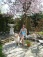 Frühling, die Blutpflaume blüht und das Wetter ist schon sooo schön...Ach, unser Lynes lässt sich auch gerne fotografieren.