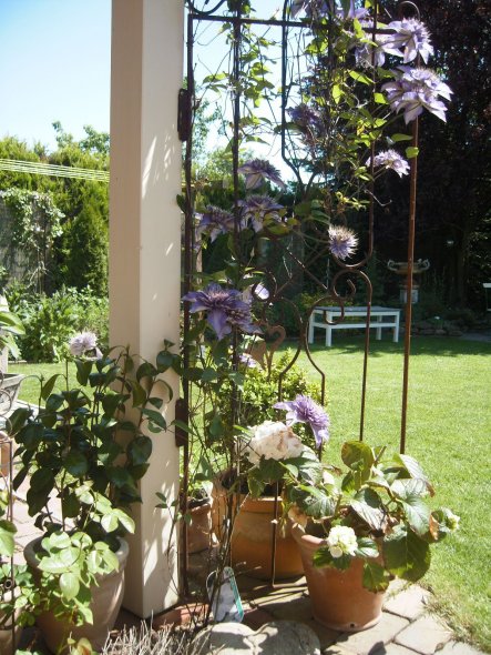 Garten Meine Oase von Mary15 - 30314 - Zimmerschau