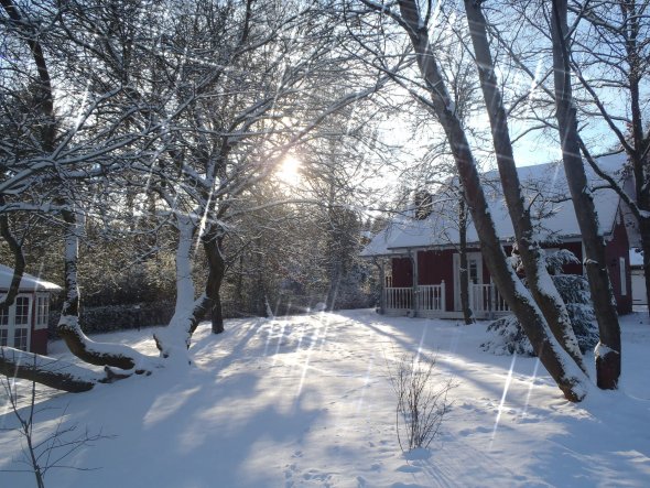 Hausfassade / Außenansichten 'Haus mit Garten'