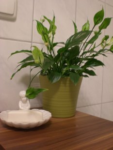 Neues Bad&WC