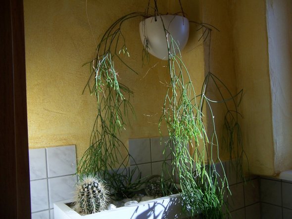 Bad 'Gästetoilette'