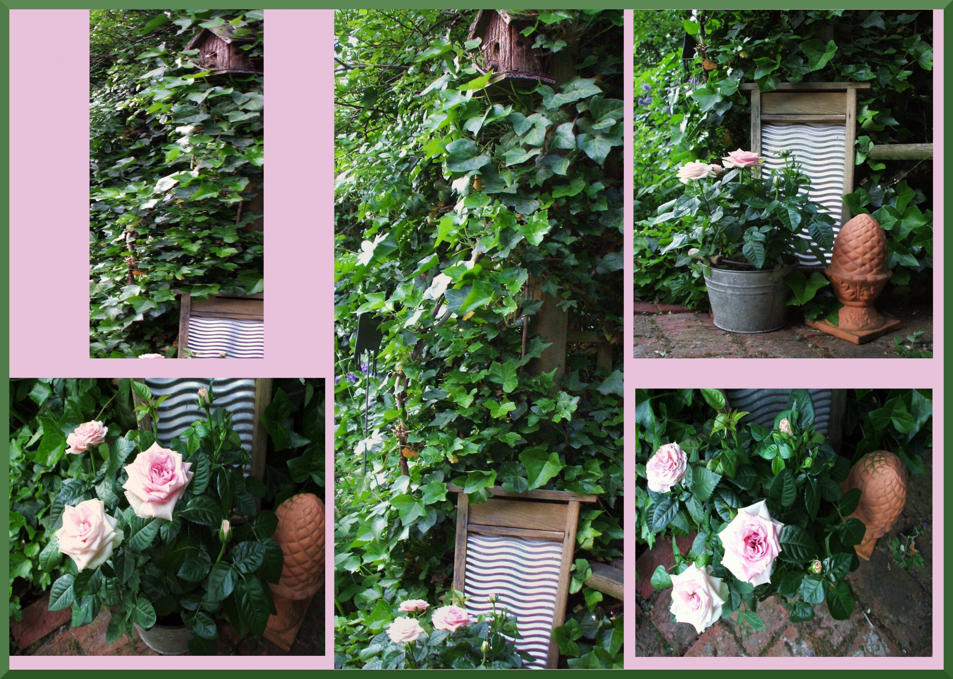 Garten my home von blumentante56 30693 Zimmerschau