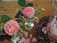 die Rose...Eden