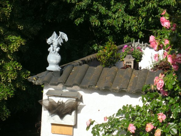 Terrasse / Balkon 'Verteidigung'