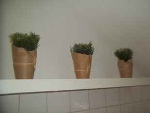 alle Räume 'Deko :)'