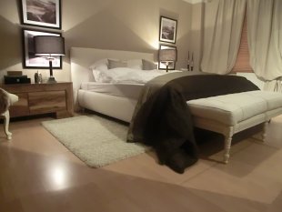 alle Räume 'Mein Schlafzimmer'