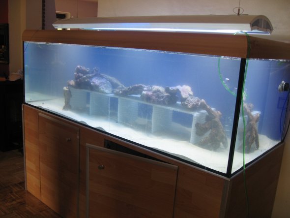 Haustiere 'Aquarium'