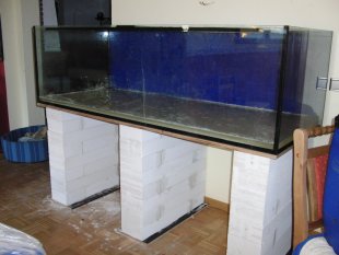 Haustiere 'Aquarium'