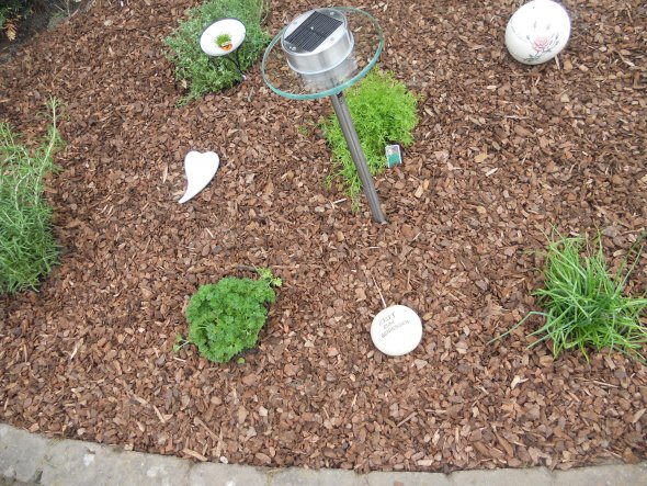 Garten 'Garten'