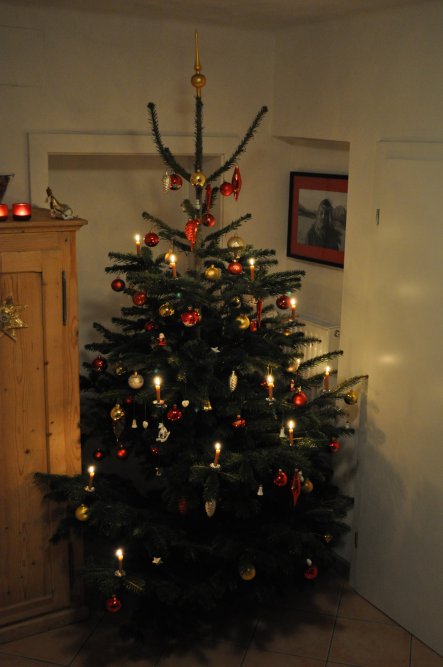 unser Christbaum...