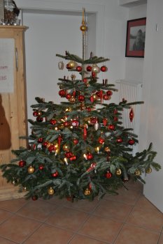 Weihnachtsdeko 'Weihnachten 2012'