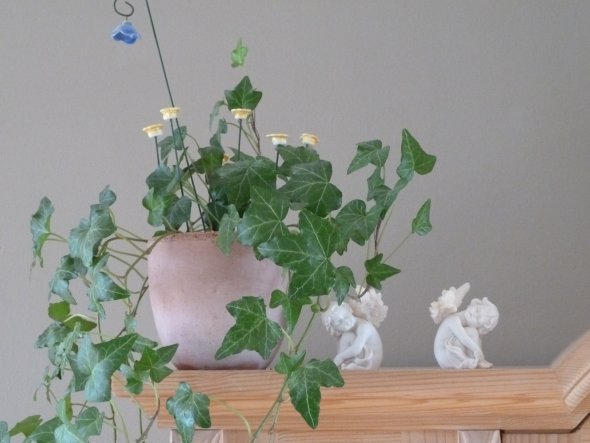 Wohnzimmer 'Unser neues Wohnzimmer'