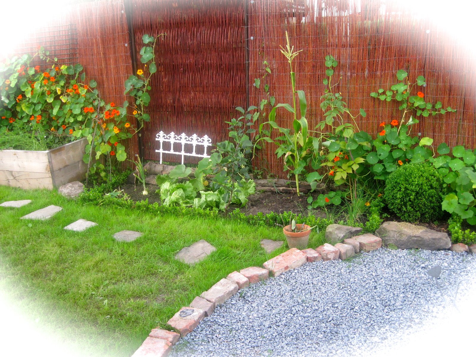 Garten Einfach Zuhause von Einfachzuhause - 32318 - Zimmerschau